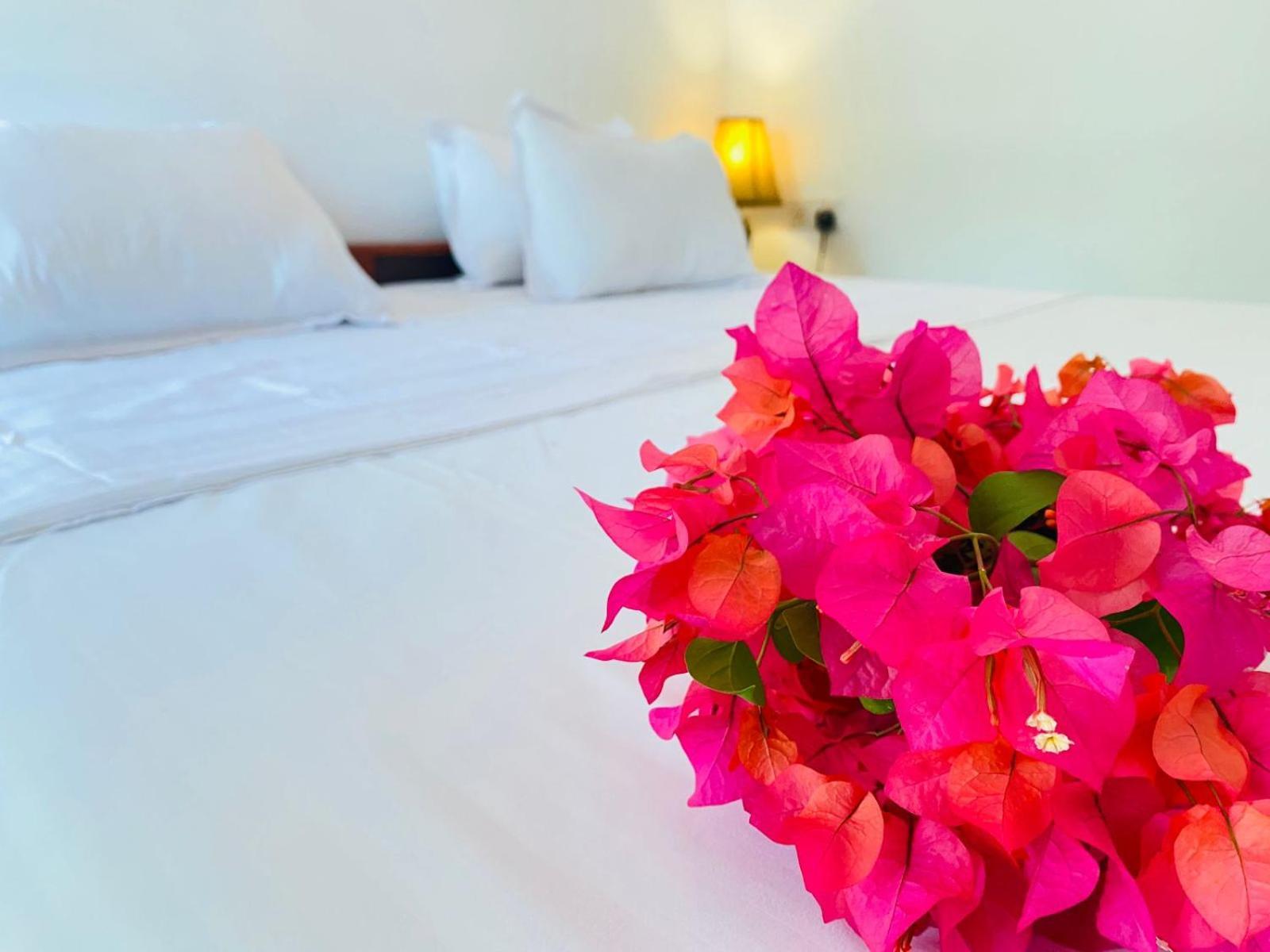 Aaliya Bay Hotel Arugam Bay Eksteriør billede